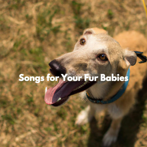Songs for Your Fur Babies album
