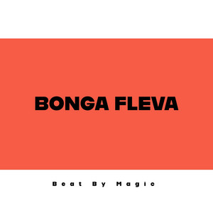 Bonga Fleva by Beat by Magic