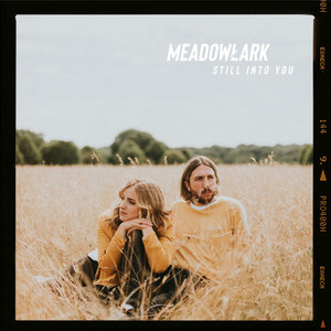 Still Into You by Meadowlark