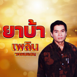 หมอเทวดา
