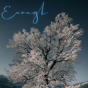 Enough by F0LNEKING