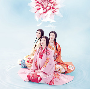 DVD 第壱集／第弐集 NHK大河ドラマ 完全版 姫たちの戦国 江