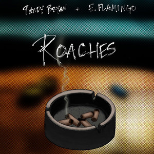 Roaches