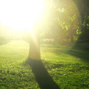 suicide sunny sunday by güng