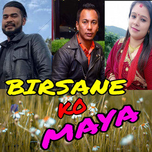 Birsane ko Maya (feat. Shreejana Shrestha)