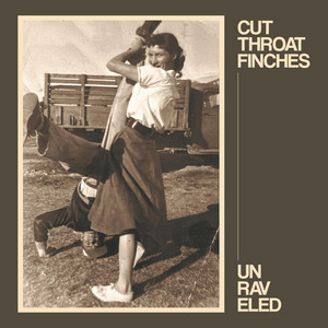 Beggar - Audiostyles Version by Cut Throat Finches