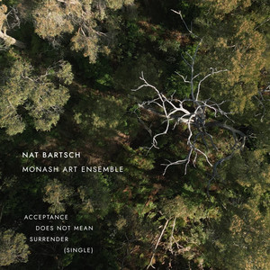 Acceptance Does Not Mean Surrender by Nat Bartsch, Monash Art Ensemble