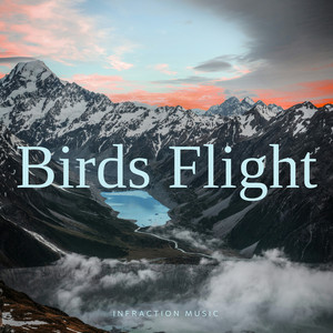 Infraction Music - Birds Flight