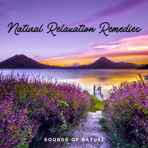 Sounds of Nature: Natural Relaxation Remedies album