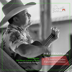 Walter Silva - Llanero a Pulso