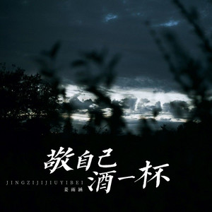 Yuhan Jiang - 敬自己酒一杯