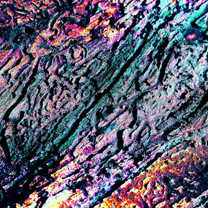 Chlorophyll by m0ssbrain