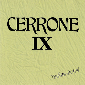 IX: Your Love Survived cover