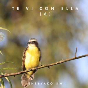 Te Vi con Ella (6) by Enbeyako Km