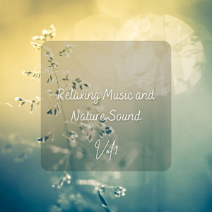 Relaxing Music and Nature Sound Vol. 1 album