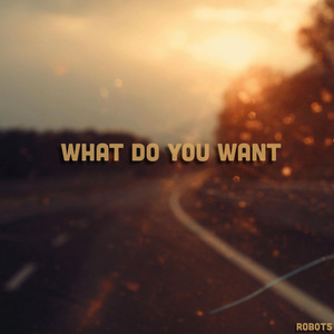What do you want by ROB0T5