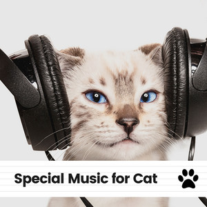 Special Music for Cat album