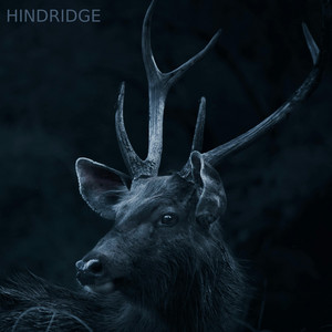 Negative qualities by Hindridge