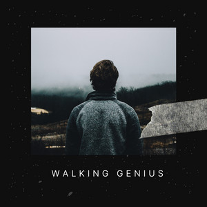 Don't Forget by Walking Genius