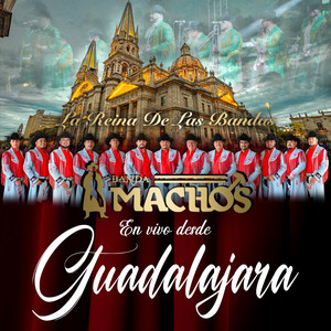 La Secretaria Con la Imponente Vientos de Jalisco - En Vivo by Banda Machos, La Imponente Vientos de Jalisco