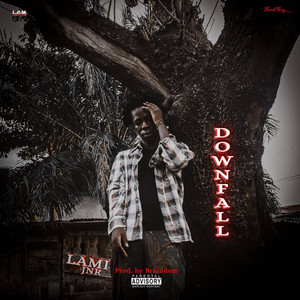DOWN FALL by LAMI JNR