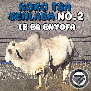 Sebini Sehloahloa by Koko Tsa Sehlaba