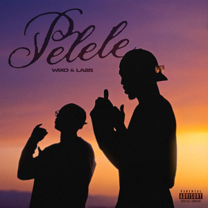WIXO & LA2S - PELELE