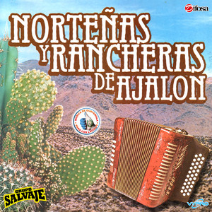 Una Guitarra Llora