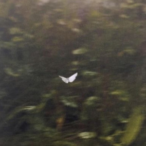 Limerence (Slowed + Reverb)