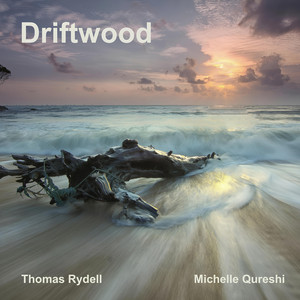 Driftwood by Michelle Qureshi, Thomas Rydell