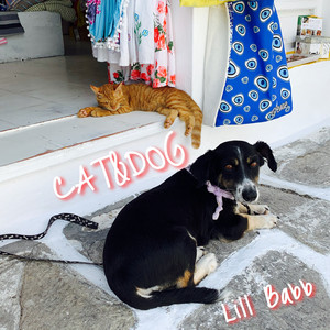 Whole area by Lill Babb