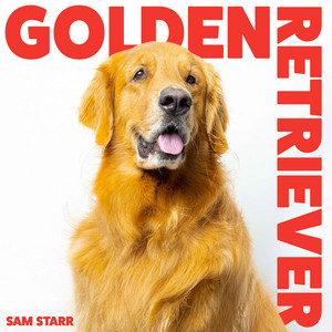 Sam Starr - Golden Retriever