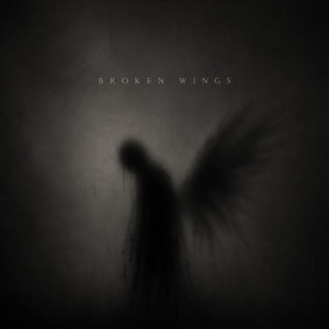 Broken Wings by Romeo Zulu