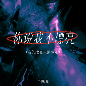 早晚晚 - 你说我不漂亮 (我的改变只需两年伴奏)