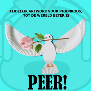 Pioenroos by Peer!