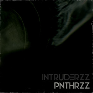 Stray by PNTHRZZ