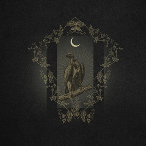 Terror Came From Above by Feed The Vulture