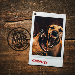Enemies by A Mad Revival