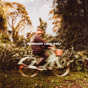 Nobody Like You by Joel Leggett