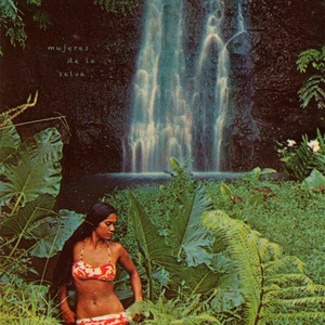 mujeres de la selva by Phases