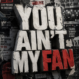 You Ain't My Fan by NBRZ