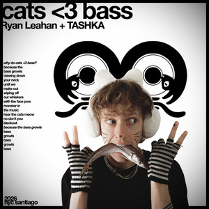 Cats <3 bass