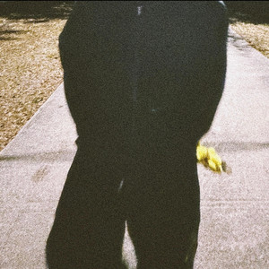 i did all these drugs by sorrow