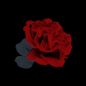 Lovers Fall (Night) by Ellard