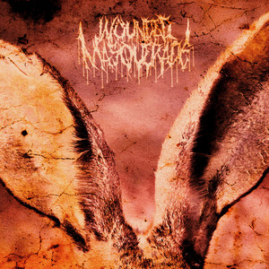 N.B.L.O.E by Wounded Masquerade