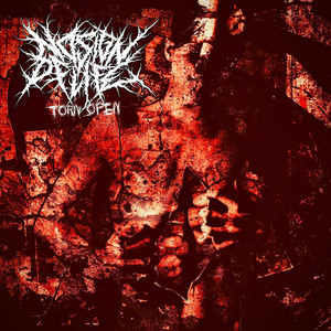 Torn Open by No Sign Of Life