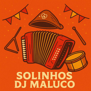 Solinhos Dj Maluco (Instrumental na Sanfona)