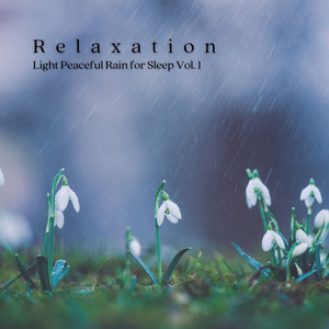 Relaxation: Light Peaceful Rain for Sleep Vol. 1 album