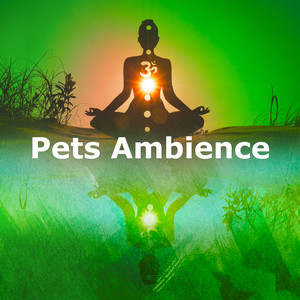 Pets Ambience
