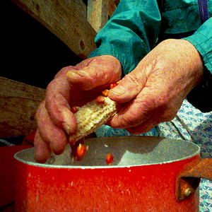 disperata gioventù